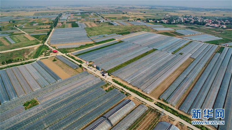 ȭᡰӲͷӱ¹غƶؾ׼ƶ˶