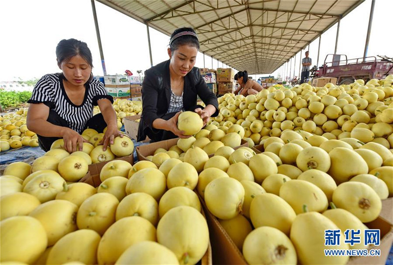 ȭᡰӲͷӱ¹غƶؾ׼ƶ˶