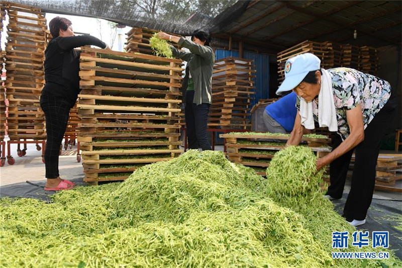 ȭᡰӲͷӱ¹غƶؾ׼ƶ˶