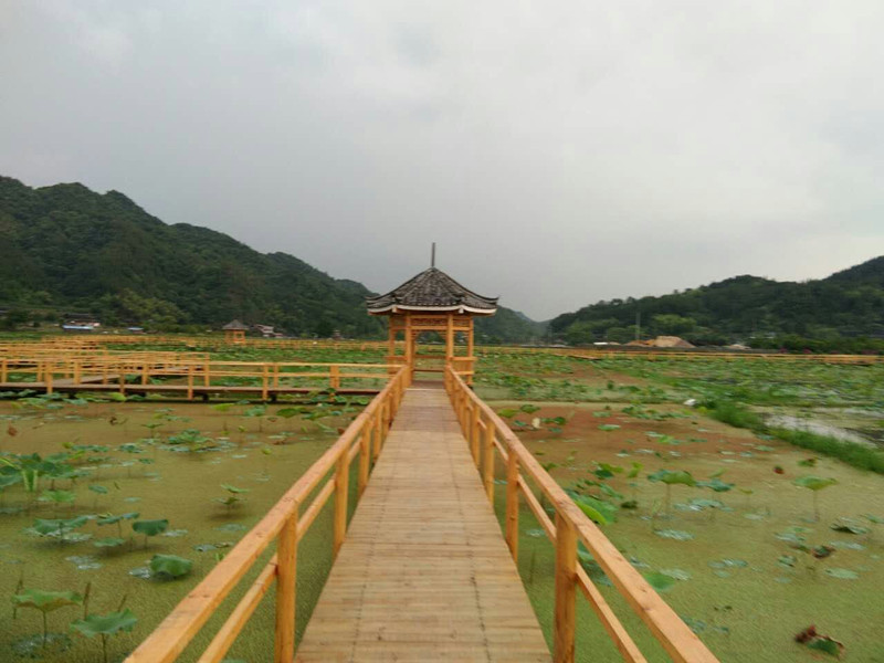 ͨũýϲҵƶĿʵʩЧ