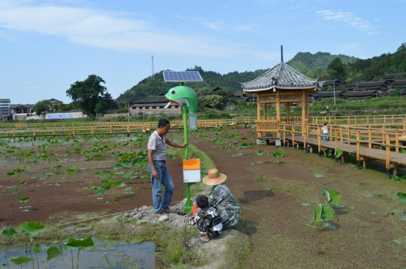 ͨũýϲҵƶĿʵʩЧ