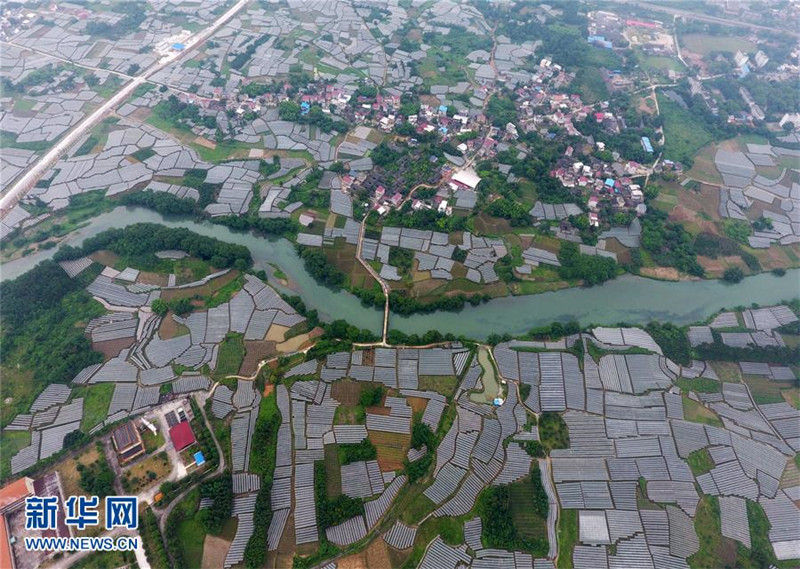  ɴ򡰴塱ơйϷ³˰عũġϾ