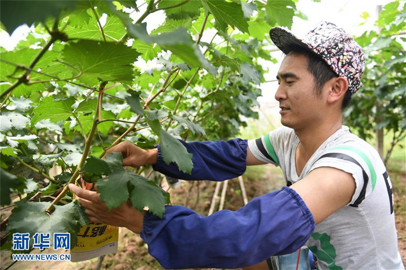  ɴ򡰴塱ơйϷ³˰عũġϾ