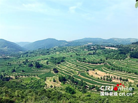 ũǻ˾ũҵ Ƽƶũ뷭