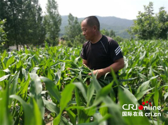 ũǻ˾ũҵ Ƽƶũ뷭