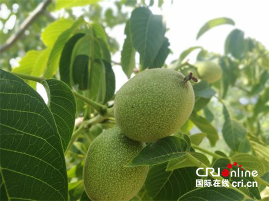 ũǻ˾ũҵ Ƽƶũ뷭