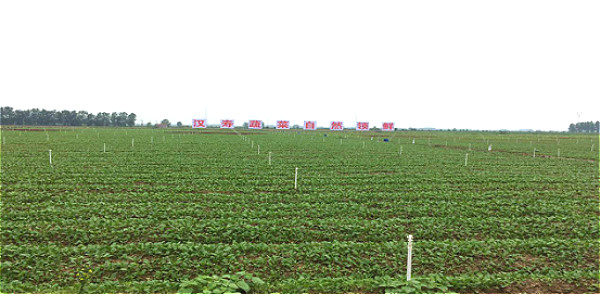 ߲˲ҵйٵڶ߲Ļںسɹٰ