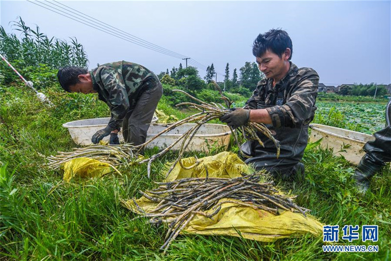 627գжźֲѲź׼ȥءϴ