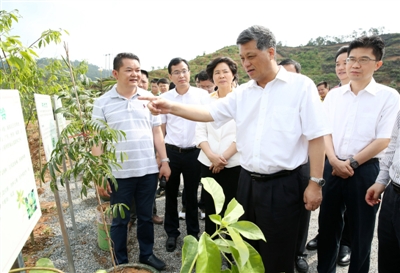 㶫Ƹִɫҩʾƿִũҵչƪ