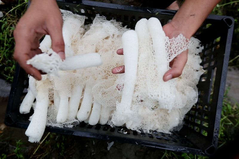 620գڹˮƽ壬񽫲յݥּװ