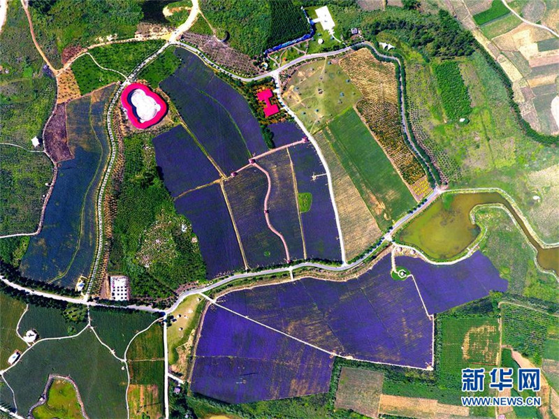 ָᵽֻĴѱ䡪ƶũҵĸʵ