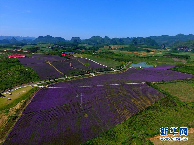 ָᵽֻĴѱ䡪ƶũҵĸʵ