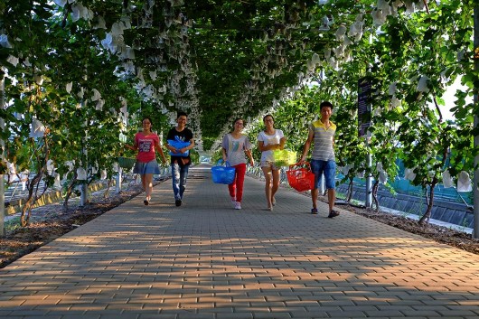 Ϻɽԣʵ нũҵ¶λ