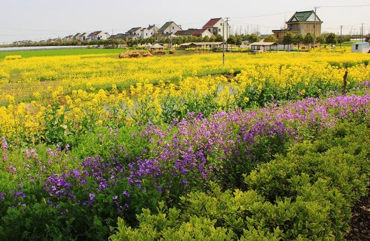 Ϻɽԣʵ нũҵ¶λ