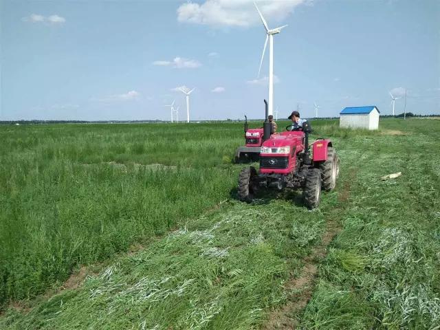 ŶغĪ4000Ķϻޣʼͷո