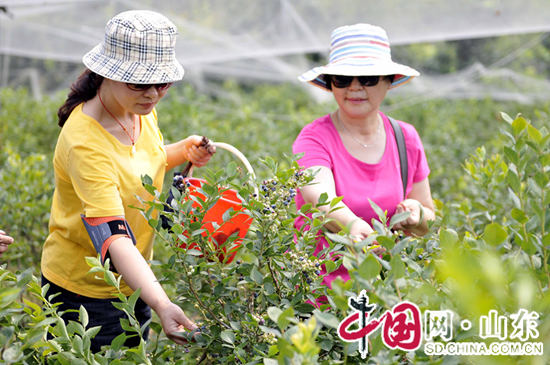 627գοɽʡ۰طݮׯ԰ժݮ