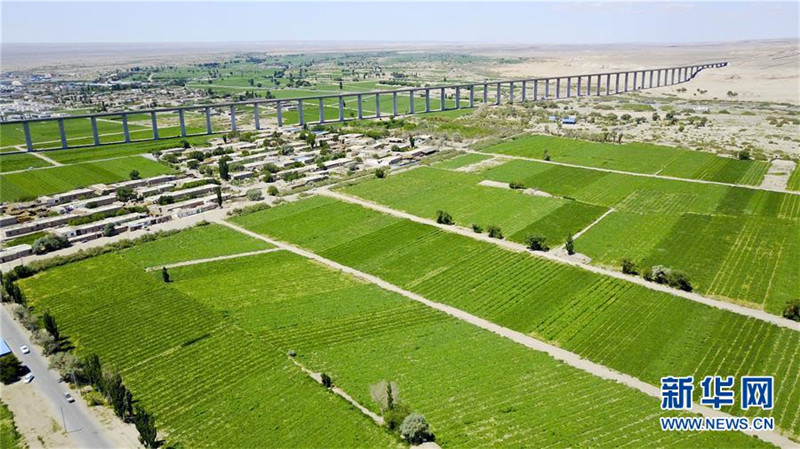 新疆哈密伊州区戈壁“瓜客”