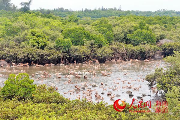 ݴɫũƷƷ ܺѼũ¸һҵ