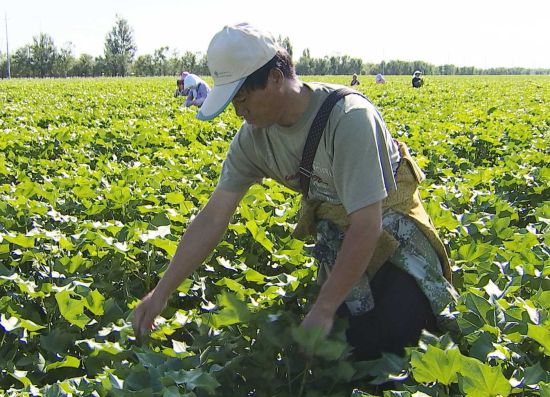 ½ŵʦʮ12Ķ޻ʼȥ ޻