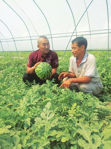 发展功能农业 山西信心十足