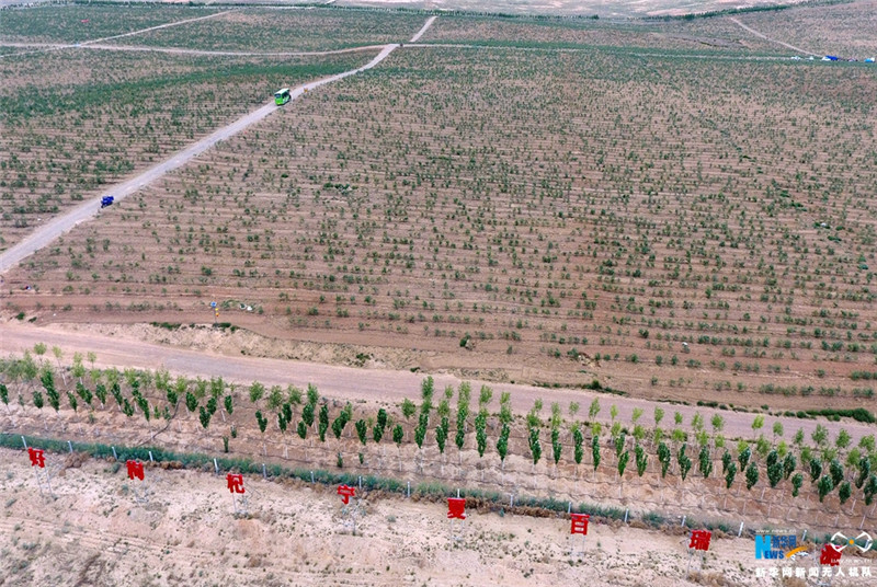 �������ӭ����ժ��