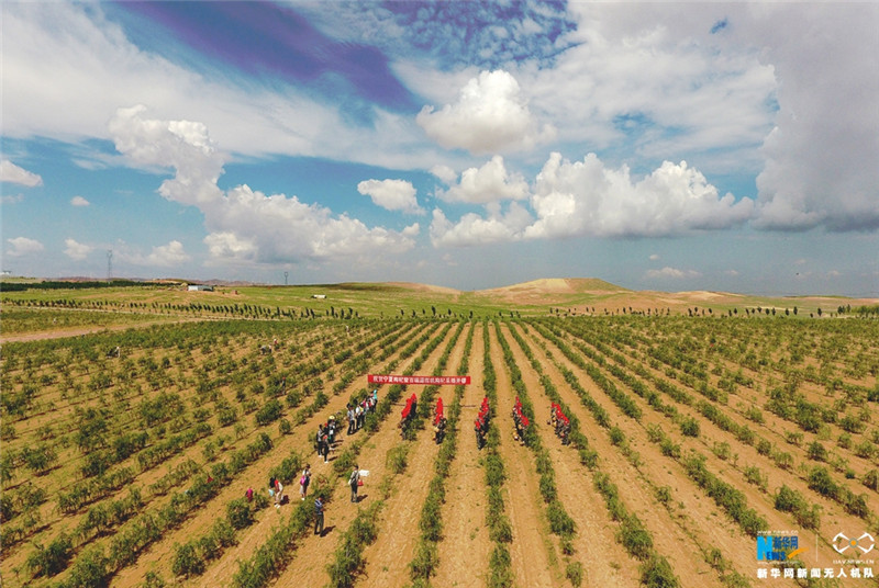 �������ӭ����ժ��