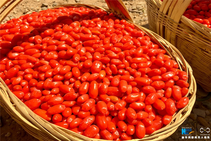 �������ӭ����ժ��