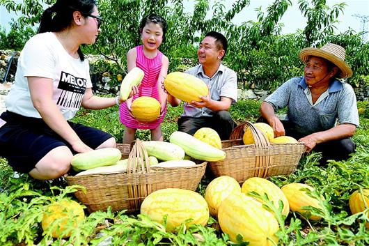 湖北宜昌:石头山变成花果山
