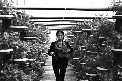 أׯڱɡַ羰 ũҵ¸֮