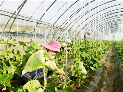 ɽũҵƼ԰ҵƶȺڡǮӡ