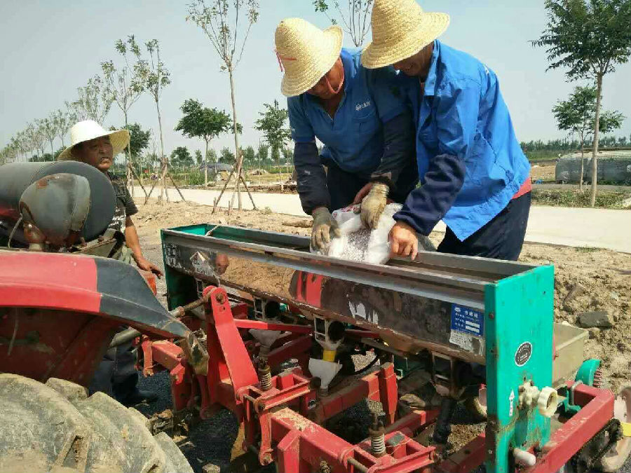 天津:市土肥站技术科认真做好肥料利用率试验