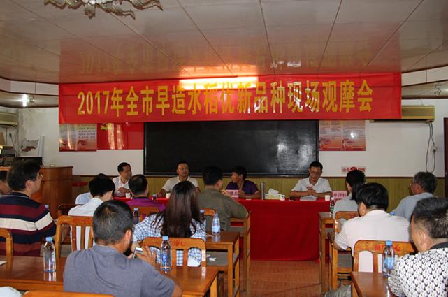 广东惠州:2017年全市早造水稻优新品种现场观摩会在龙门县召开