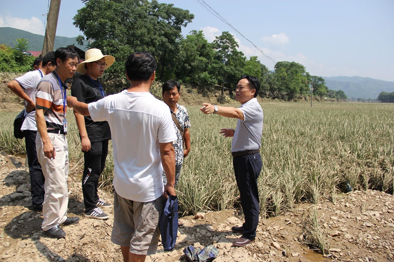湖南:洪灾后如何快速恢复粮食生产
