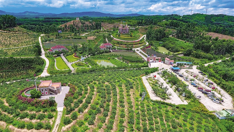 海南屯昌县:生态循环农业如何转起来