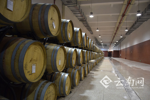 云南:百年葡萄焕新颜 迪庆州万余亩葡萄园助力脱贫攻坚