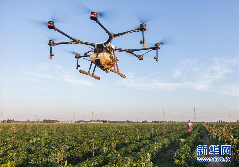 河北省武邑县:无人机植保技术助力农业增效