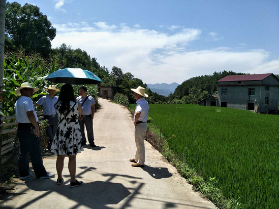 湖南慈利县开展早稻生产评比验收