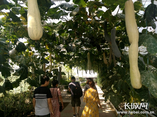 ӱ조԰ʡмҵũҵͷҵ