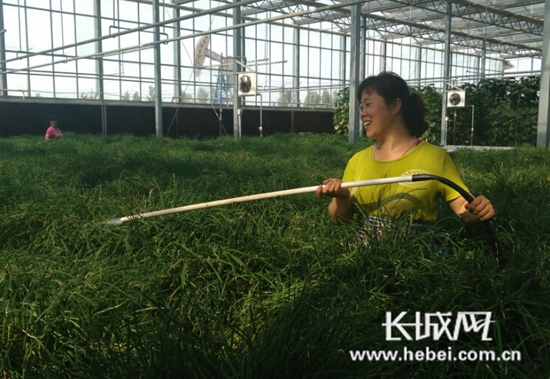 ӱ조԰ʡмҵũҵͷҵ