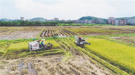 㶫ƽˮũոæ Ʒкճ