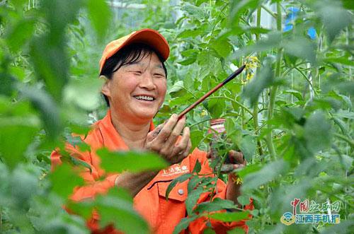 иɽҴ巢չֲҵ̾¸·