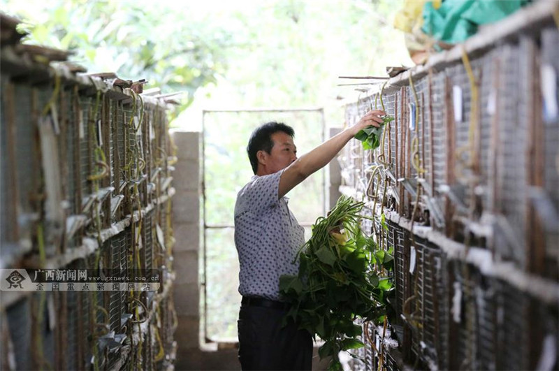 ڰСǮ; ũչֳؿ¸·