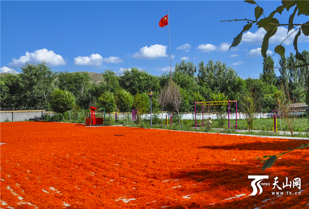 ½տؿ翦մǧĶ컨ϲ