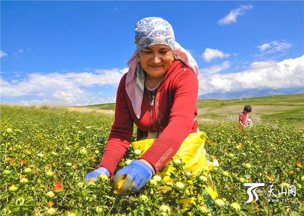 ½տؿ翦մǧĶ컨ϲ