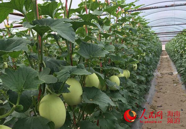 ֶһһƷ׼ƶ ֲܹƶ¸