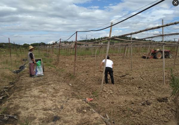 ϳũҵֶ벢ٿչֺũҵ