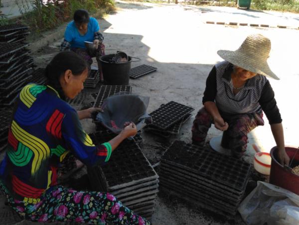 ϳũҵֶ벢ٿչֺũҵ