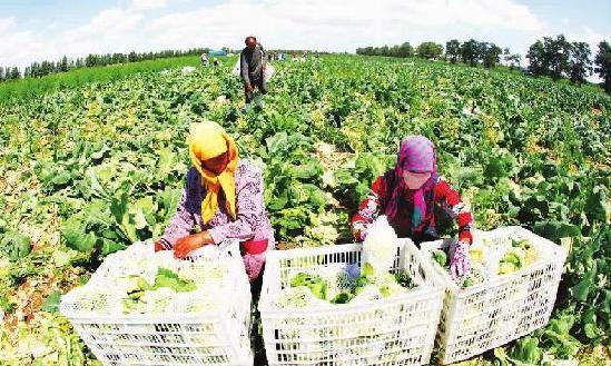 ӱżҿڲ챱ũҵЧˮʾǿ