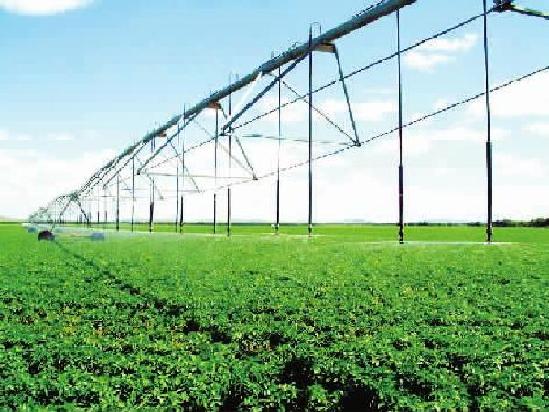 ӱżҿڲ챱ũҵЧˮʾǿ