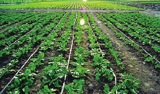 ӱżҿڲ챱ũҵЧˮʾǿ